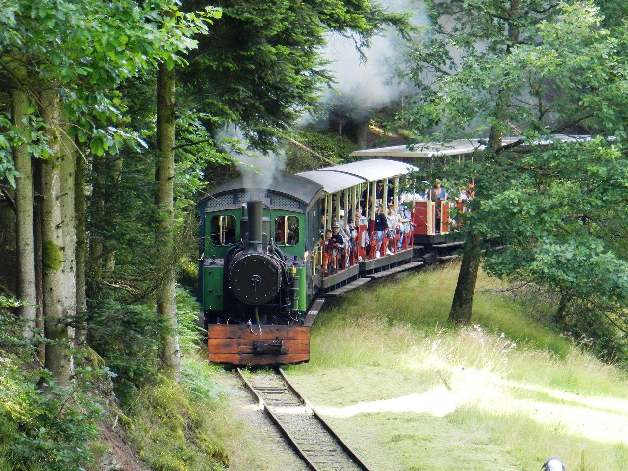 Un train dans une forêt local